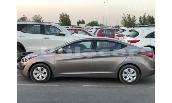 Buy Import Hyundai Elantra Brown Car in Import - Dubai in Central Buy Import Hyundai Elantra Brown Car in Import - Dubai in Central
