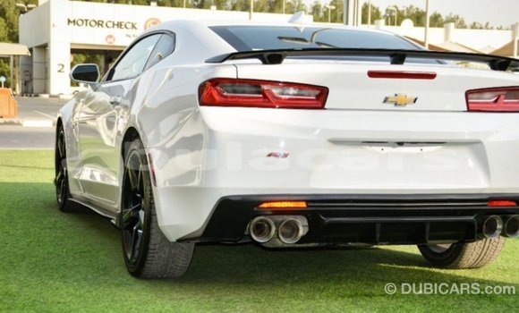 Buy Import Chevrolet Camaro White Car in Import - Dubai in Central Buy Import Chevrolet Camaro White Car in Import - Dubai in Central