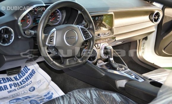 Buy Import Chevrolet Camaro White Car in Import - Dubai in Central Buy Import Chevrolet Camaro White Car in Import - Dubai in Central