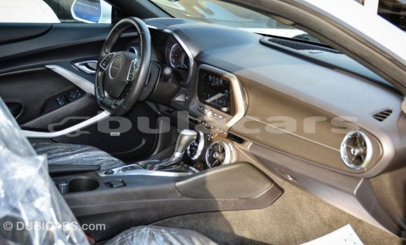 Buy Import Chevrolet Camaro White Car in Import - Dubai in Central Buy Import Chevrolet Camaro White Car in Import - Dubai in Central