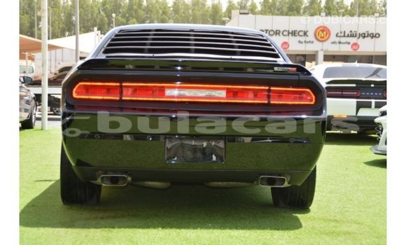 Buy Import Dodge Challenger Black Car in Import - Dubai in Central Buy Import Dodge Challenger Black Car in Import - Dubai in Central