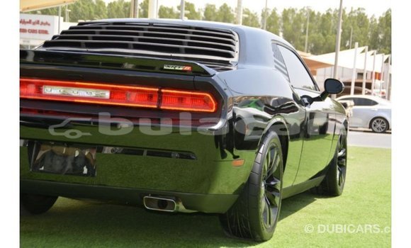 Buy Import Dodge Challenger Black Car in Import - Dubai in Central Buy Import Dodge Challenger Black Car in Import - Dubai in Central