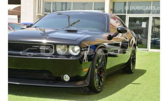 Buy Import Dodge Challenger Black Car in Import - Dubai in Central Buy Import Dodge Challenger Black Car in Import - Dubai in Central