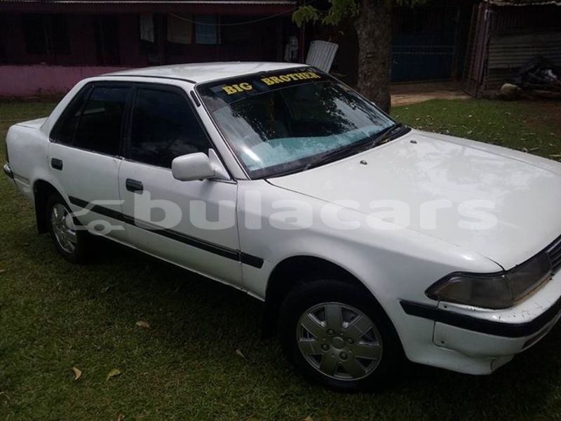 Big with watermark post id 4888 xcecx