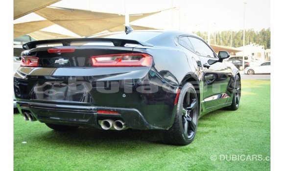 Buy Import Chevrolet Camaro Black Car in Import - Dubai in Central Buy Import Chevrolet Camaro Black Car in Import - Dubai in Central