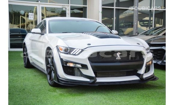 Buy Import Ford Mustang White Car in Import - Dubai in Central Buy Import Ford Mustang White Car in Import - Dubai in Central