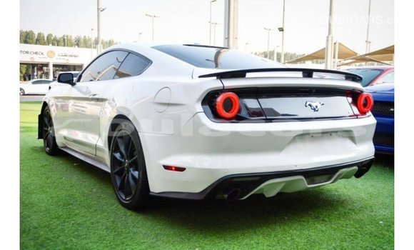 Buy Import Ford Mustang White Car in Import - Dubai in Central Buy Import Ford Mustang White Car in Import - Dubai in Central