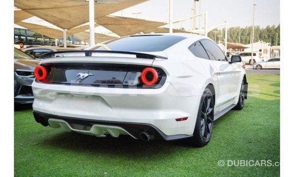 Buy Import Ford Mustang White Car in Import - Dubai in Central Buy Import Ford Mustang White Car in Import - Dubai in Central