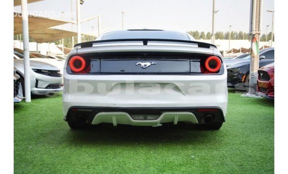 Buy Import Ford Mustang White Car in Import - Dubai in Central Buy Import Ford Mustang White Car in Import - Dubai in Central