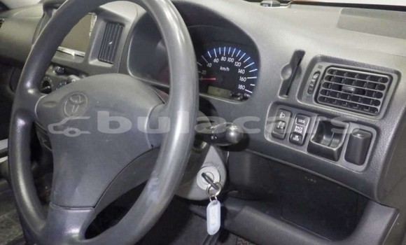 Buy Import Toyota Probox White Car in Suva in Central Buy Import Toyota Probox White Car in Suva in Central