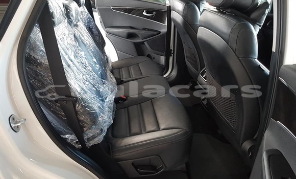 Acheter Occasion Voiture Kia Sorento Blanc à Nadi, Western Acheter Occasion Voiture Kia Sorento Blanc à Nadi, Western