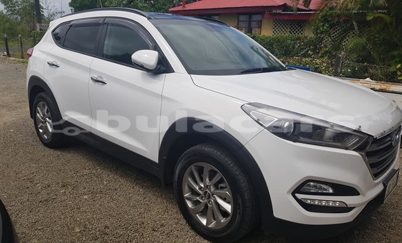 Buy Used Hyundai Tucson White Car in Suva in Central Buy Used Hyundai Tucson White Car in Suva in Central