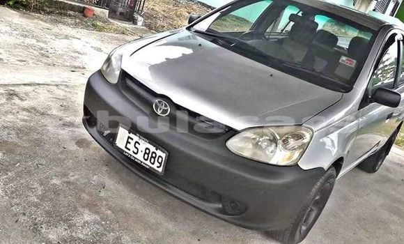 Acheter Occasion Voiture Toyota Echo Gris à Suva, Central