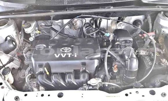 Acheter Occasion Voiture Toyota Echo Gris à Suva, Central Acheter Occasion Voiture Toyota Echo Gris à Suva, Central