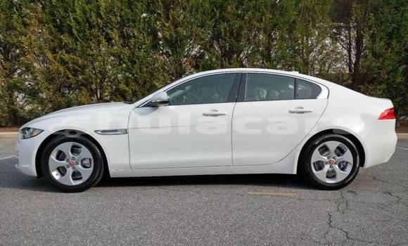 Buy Import Jaguar XE White Car in Import - Dubai in Central