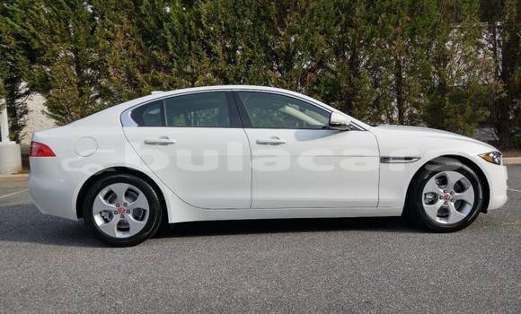 Buy Import Jaguar XE White Car in Import - Dubai in Central Buy Import Jaguar XE White Car in Import - Dubai in Central