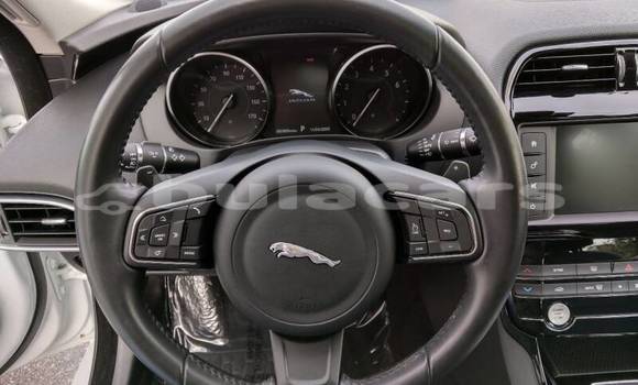 Buy Import Jaguar XE White Car in Import - Dubai in Central Buy Import Jaguar XE White Car in Import - Dubai in Central