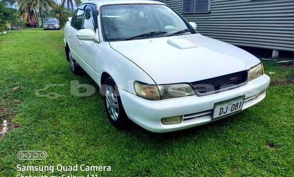 Buy Used Toyota Corolla White Car in Ba in Western Buy Used Toyota Corolla White Car in Ba in Western