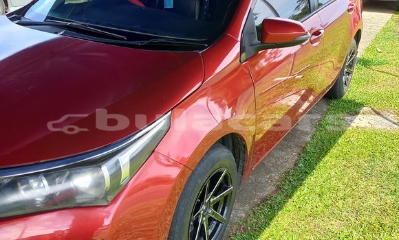 Buy Used Toyota Corolla Red Car in Suva in Central