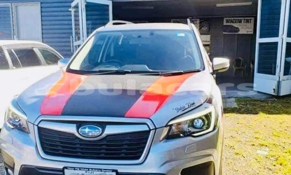 Acheter Neuf Voiture Subaru Forester Gris à Nabua, Northern Acheter Neuf Voiture Subaru Forester Gris à Nabua, Northern