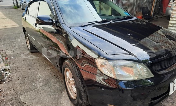 Buy Used Toyota Corolla Black Car in Suva in Central