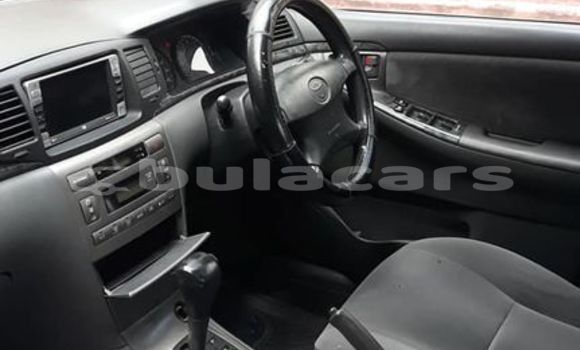 Buy Used Toyota Corolla Silver Car in Suva in Central Buy Used Toyota Corolla Silver Car in Suva in Central