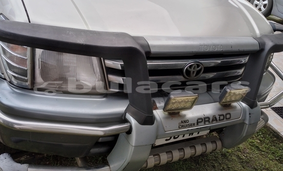 Acheter Occasion Voiture Toyota Land Cruiser Prado Gris à Suva, Central