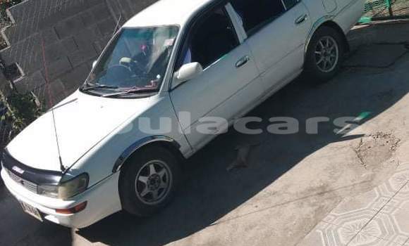 Buy Used Toyota Corolla White Car in Nausori in Central Buy Used Toyota Corolla White Car in Nausori in Central