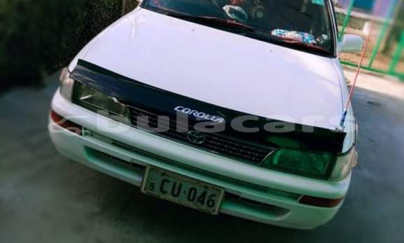 Buy Used Toyota Corolla White Car in Nausori in Central Buy Used Toyota Corolla White Car in Nausori in Central