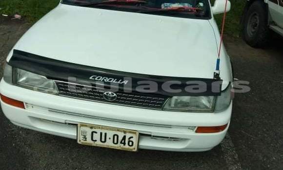 Buy Used Toyota Corolla White Car in Nausori in Central Buy Used Toyota Corolla White Car in Nausori in Central