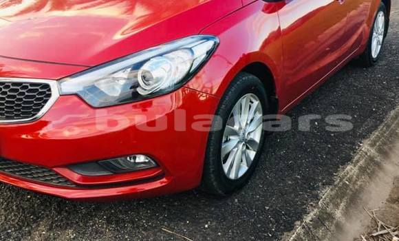 Buy Used Kia Cerato Red Car in Suva in Central Buy Used Kia Cerato Red Car in Suva in Central