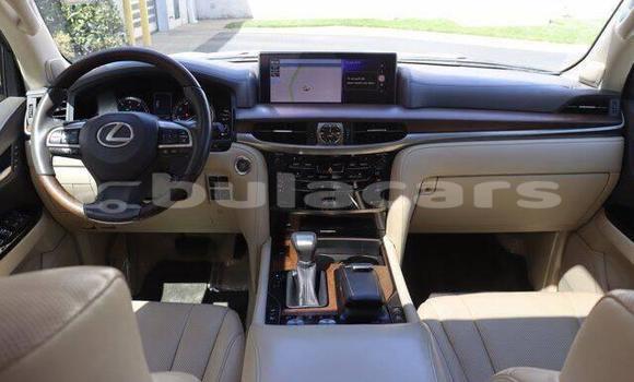 Buy Used Lexus LX White Car in Suva in Central Buy Used Lexus LX White Car in Suva in Central