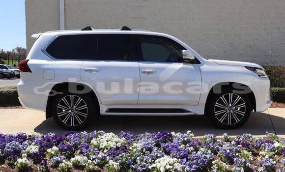 Buy Used Lexus LX White Car in Suva in Central Buy Used Lexus LX White Car in Suva in Central