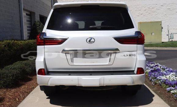 Buy Used Lexus LX White Car in Suva in Central Buy Used Lexus LX White Car in Suva in Central
