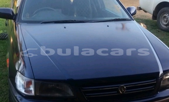 Buy Used Toyota Corona Blue Car in Tavua in Western