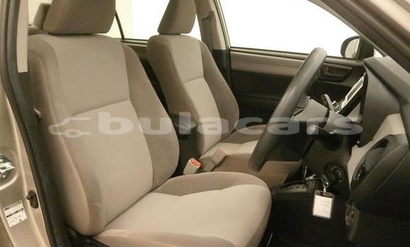 Buy Used Toyota Axio Other Car in Malhaha in Eastern Buy Used Toyota Axio Other Car in Malhaha in Eastern