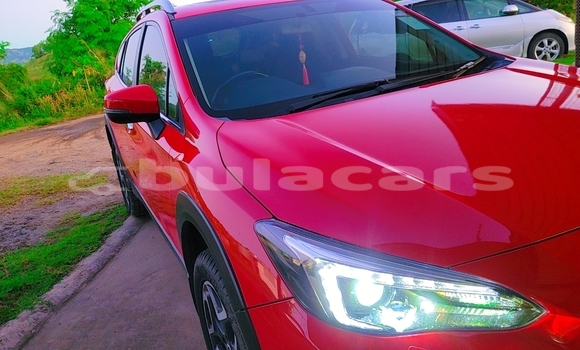 Buy Used Subaru XV Red Car in Lautoka in Western Buy Used Subaru XV Red Car in Lautoka in Western