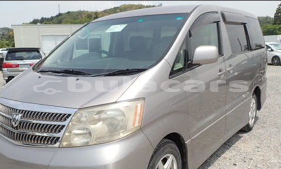 Buy Used Toyota Alphard Silver Car in Nadi in Western Buy Used Toyota Alphard Silver Car in Nadi in Western