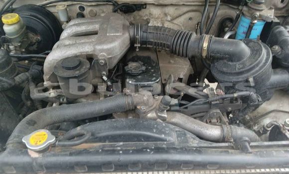 Buy Used Nissan Navara White Car in Suva in Central Buy Used Nissan Navara White Car in Suva in Central