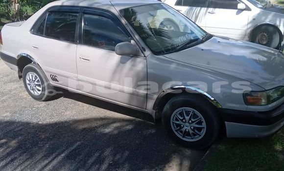 Buy Used Toyota Corolla Other Car in Suva in Central Buy Used Toyota Corolla Other Car in Suva in Central