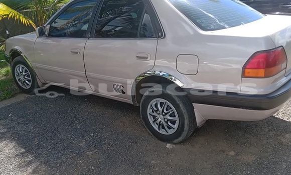 Buy Used Toyota Corolla Other Car in Suva in Central Buy Used Toyota Corolla Other Car in Suva in Central