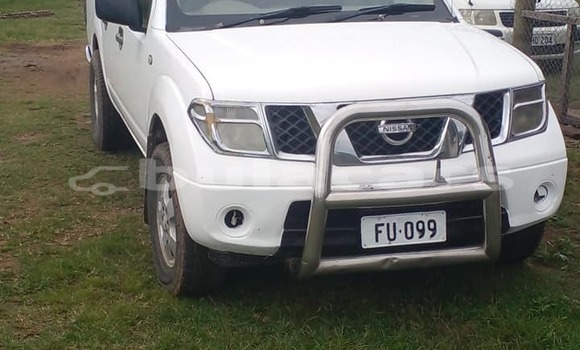 Acheter Occasion Voiture Nissan Navara Blanc à Suva, Central