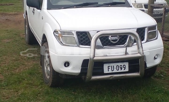 Buy Used Nissan Navara White Car in Suva in Central Buy Used Nissan Navara White Car in Suva in Central