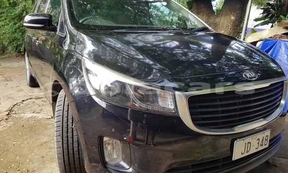 Buy Used Kia Sorento Black Car in Suva in Central