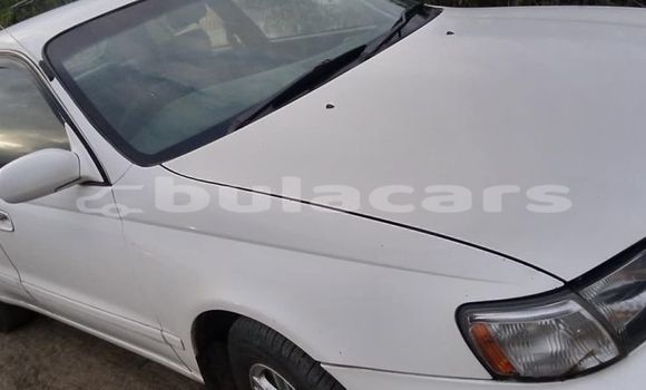 Buy Used Toyota Corolla Other Car in Suva in Central