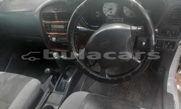 Buy Used Nissan Terrano White Car in Suva in Central Buy Used Nissan Terrano White Car in Suva in Central