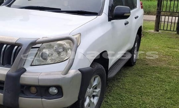Buy Used Toyota Land Cruiser White Car in Suva in Central Buy Used Toyota Land Cruiser White Car in Suva in Central