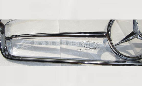 Buy Mercedes Pagode Grille in Deuba in Central Buy Mercedes Pagode Grille in Deuba in Central