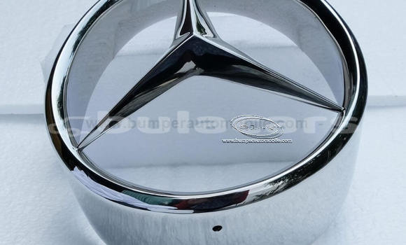 Buy Mercedes Pagode Grille in Deuba in Central Buy Mercedes Pagode Grille in Deuba in Central