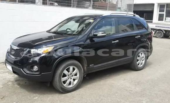 Buy Used Kia Sorrento Other Car in Rakiraki in Western